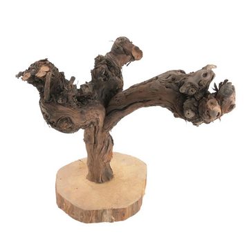 NaDeco Bastelnaturmaterial Weinrebe mit einem Holzständer, Höhe ca. 40-50cm, Breite ca.30-45cm