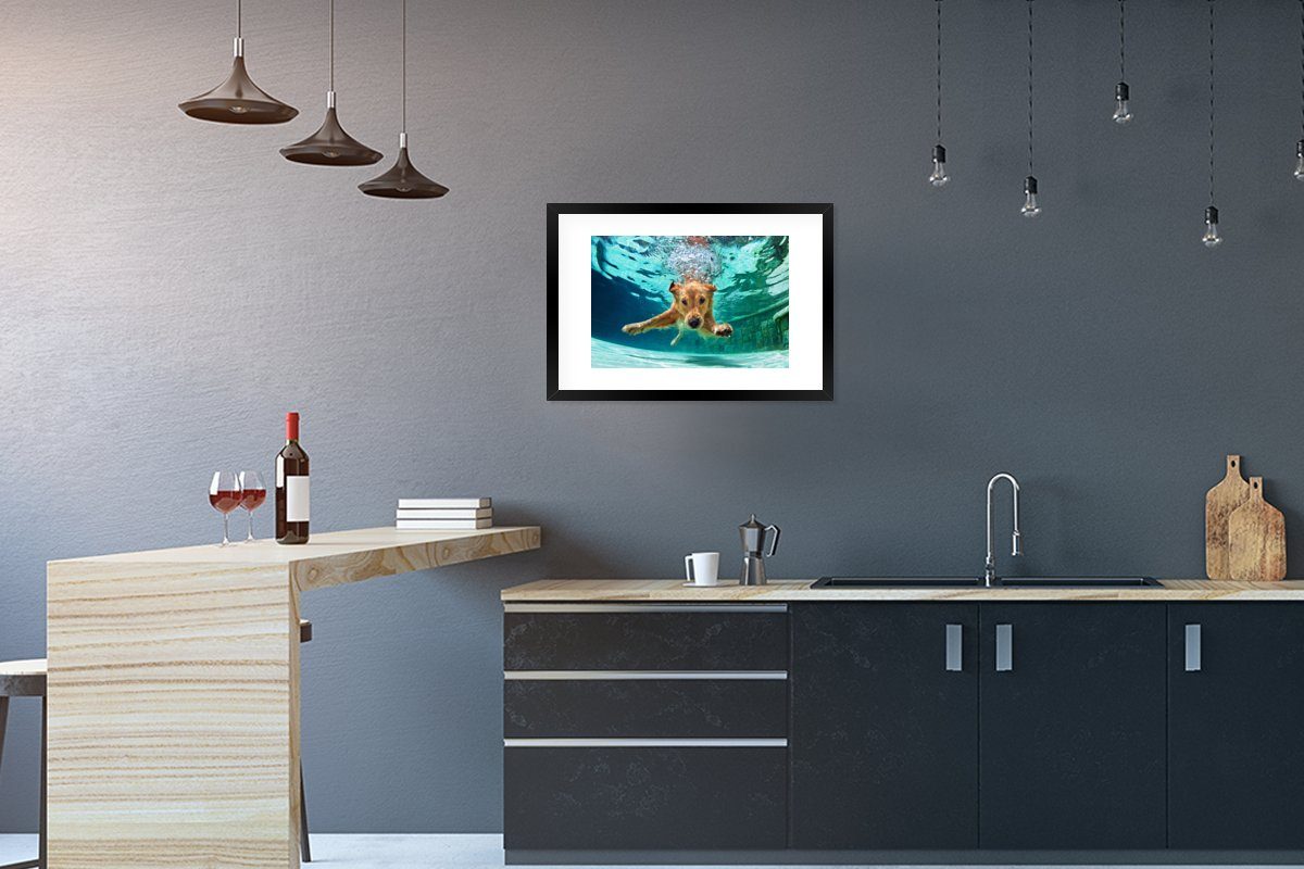MuchoWow Poster Pool - Hund - Wasser, (1 St), mit Rahmen, Kunstdruck, Gerahmtes Poster, Schwarzem Bilderrahmen