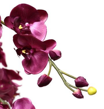 Kunstpflanze Künstliche Orchidee XL Kunstblume wie echt Kunstpflanze 768 Kunstorchideen, PassionMade, Höhe 80 cm, Künstliche Orchideen wie echt im Topf