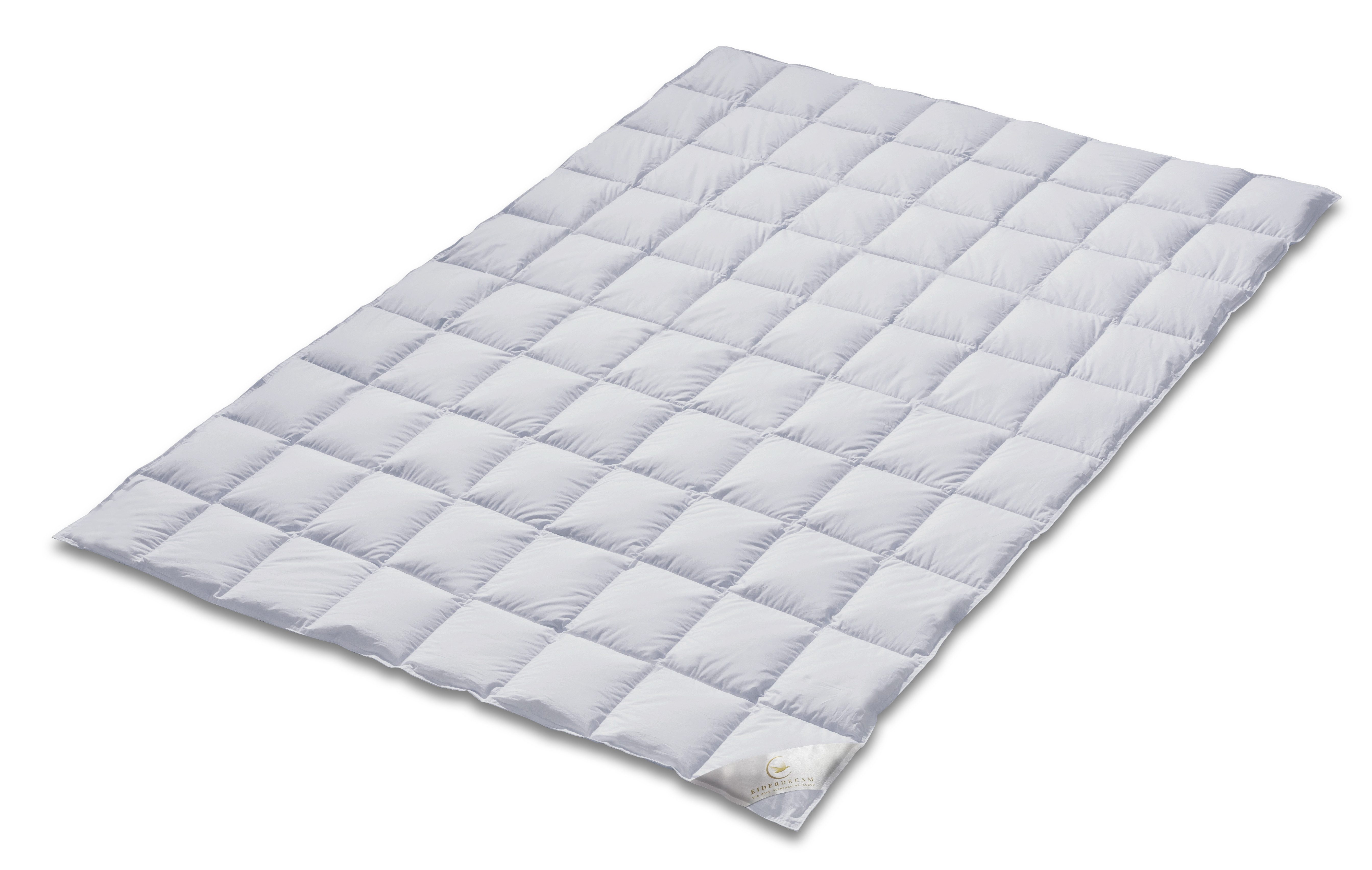 EIDERDREAM Daunenbettdecke EIDERDREAM Eiderdaunendecke – 100 günstig online kaufen