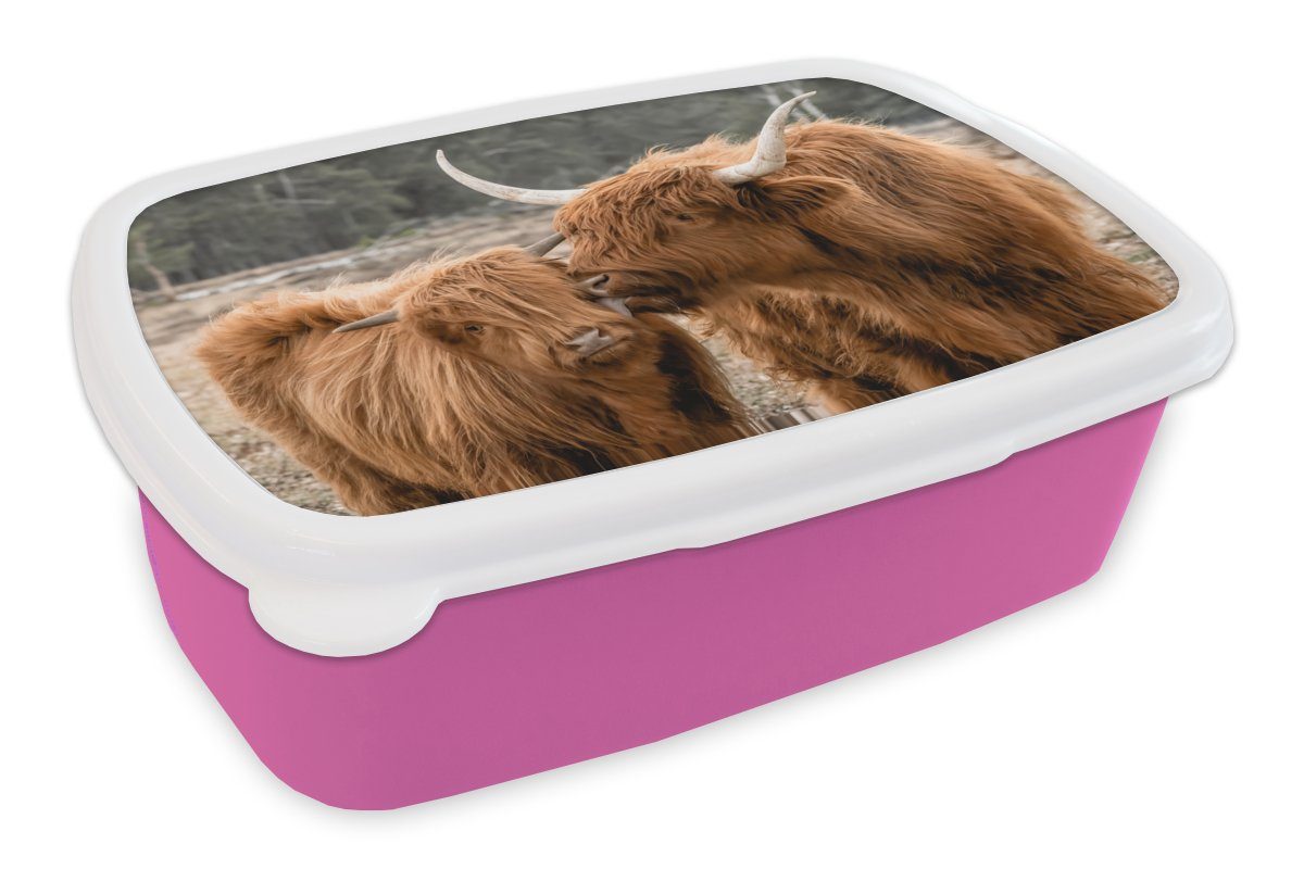 MuchoWow Lunchbox Schottischer Highlander - Tiere - Wald, Kunststoff, (2-tlg), Brotbox für Erwachsene, Brotdose Kinder, Snackbox, Mädchen, Kunststoff rosa