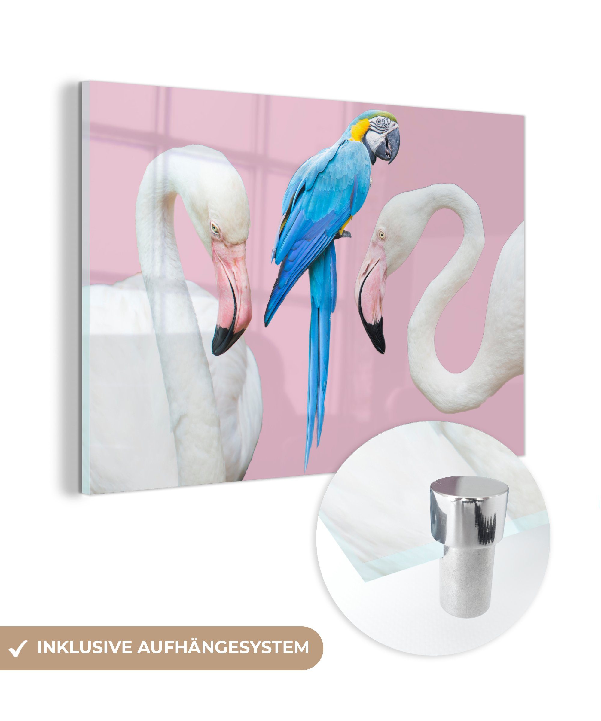 MuchoWow Acrylglasbild Tiere - Flamingo - Papagei - Abstrakt, (1 St), Acrylglasbilder Wohnzimmer & Schlafzimmer
