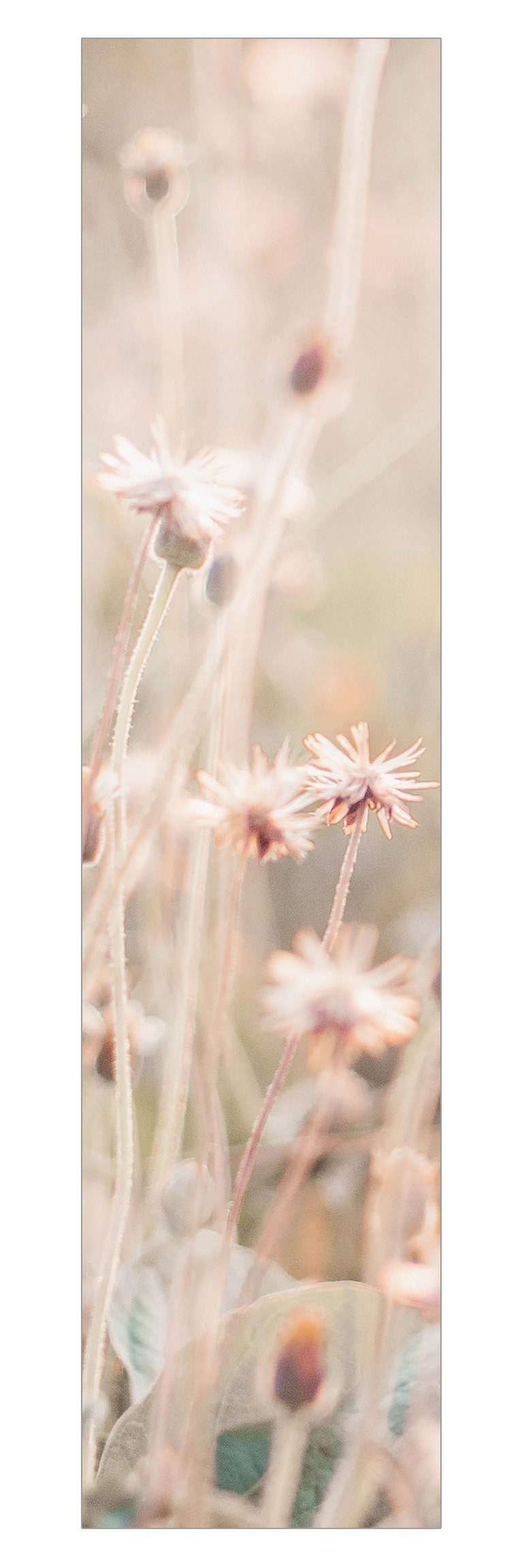 Schiebegardine modern Flächenvorhang blickdicht Strahlende Blumenwiese