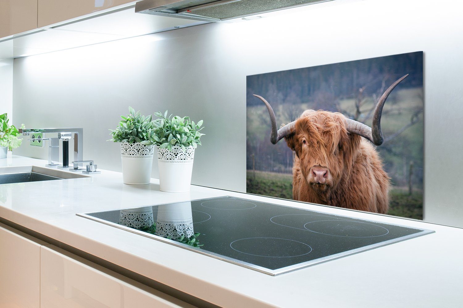 MuchoWow Küchenrückwand Schottischer Highlander - aus Natur Kuh, Temperaturbeständig (1-tlg), Kuhkopf - Herdblende 60x40 cm, - küchen - Landschaft Wandschutz