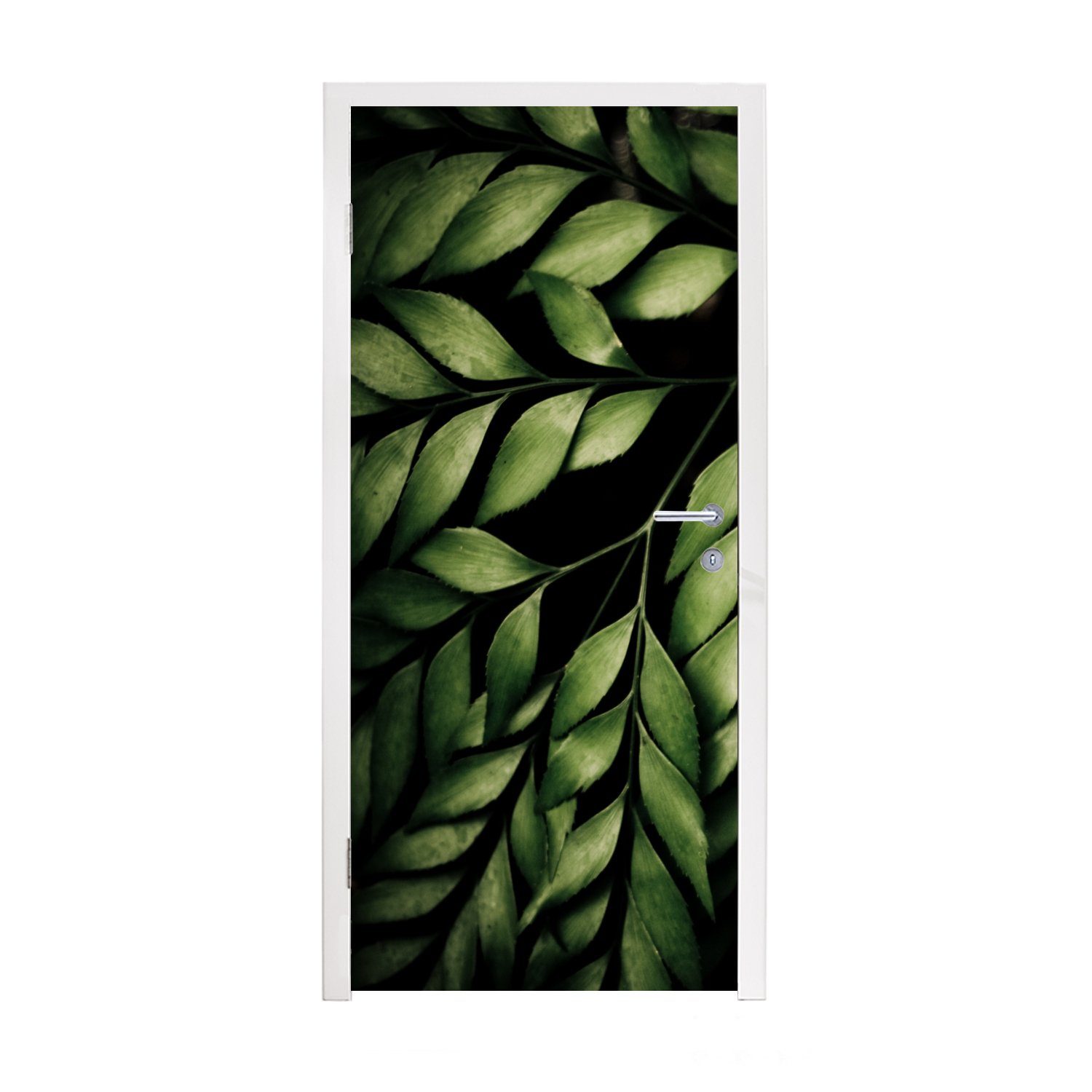 MuchoWow Türtapete (1 Zweige Matt, für schwarzen eines vor bedruckt, einem Fototapete Türaufkleber, St), 75x205 Die cm Tür, Hintergrund, Farns