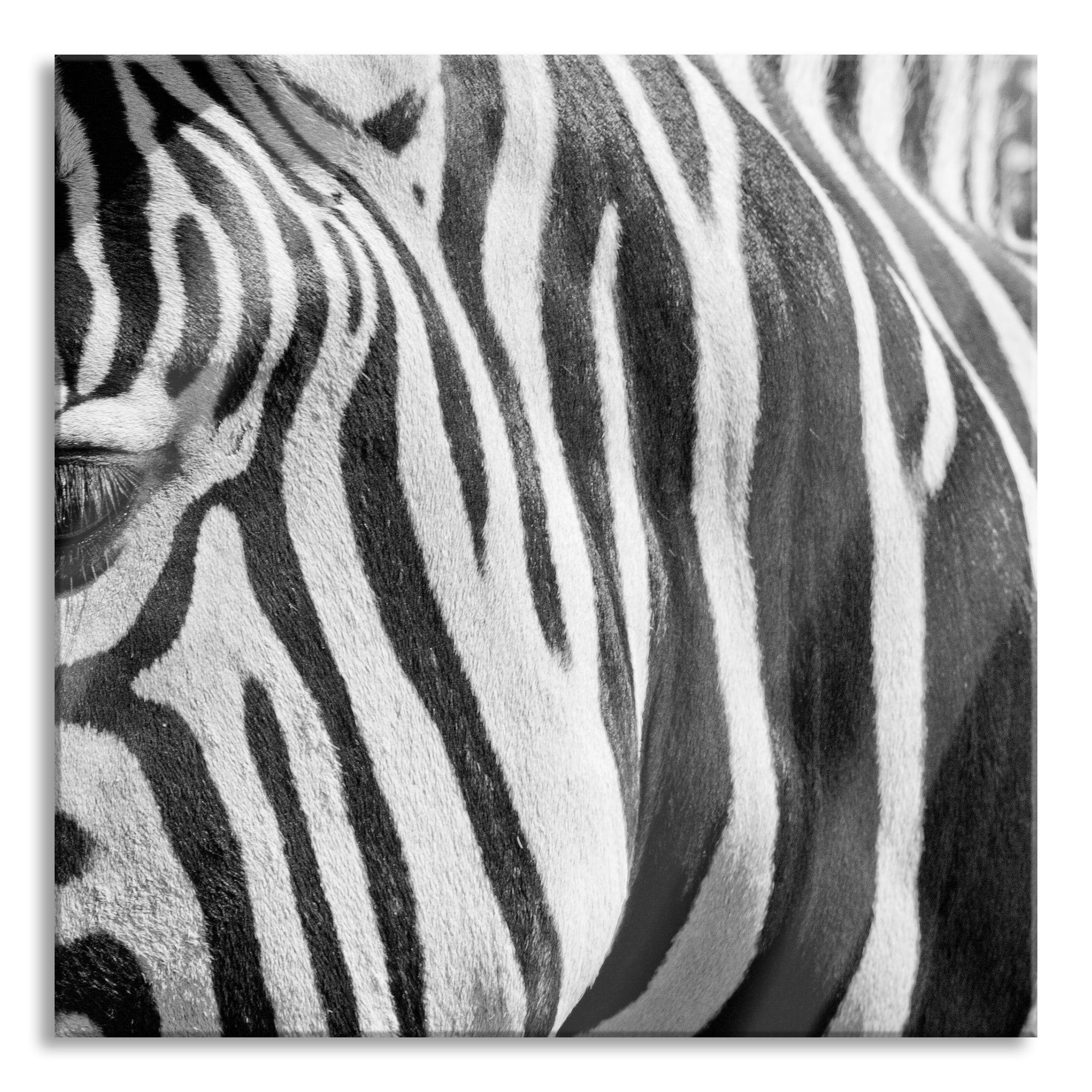 Pixxprint Glasbild Zebra Porträt, Zebra (1 aus Abstandshalter Porträt Echtglas, St), Aufhängungen inkl. Glasbild und