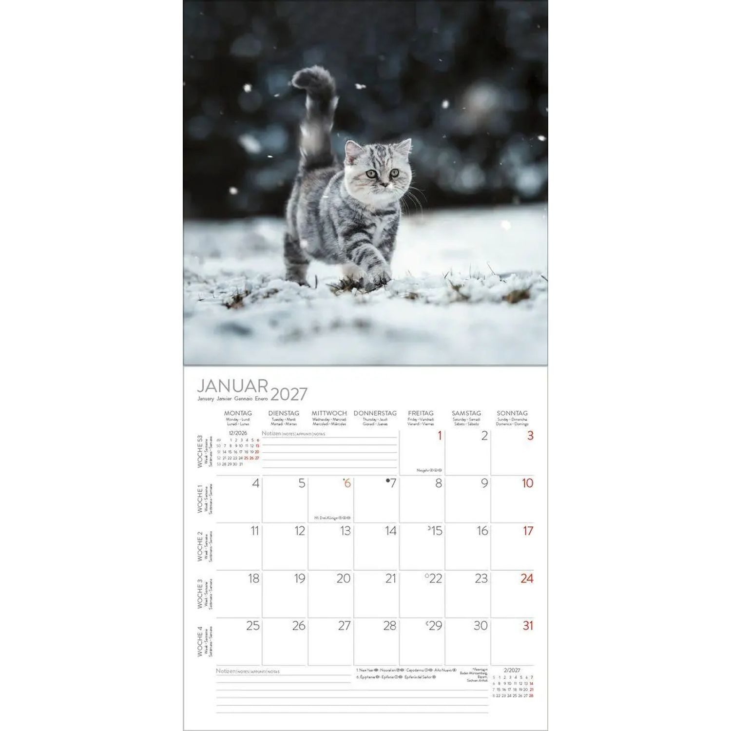 Korsch Verlag Wandkalender Cats 2027