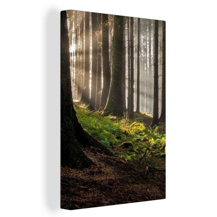 OneMillionCanvasses® Leinwandbild Sonne - Äste - Bäume - Wald - Natur (1 St) Bild auf Leinwand Wandbild Leinwandbilder Wanddekoration Kunstdruck