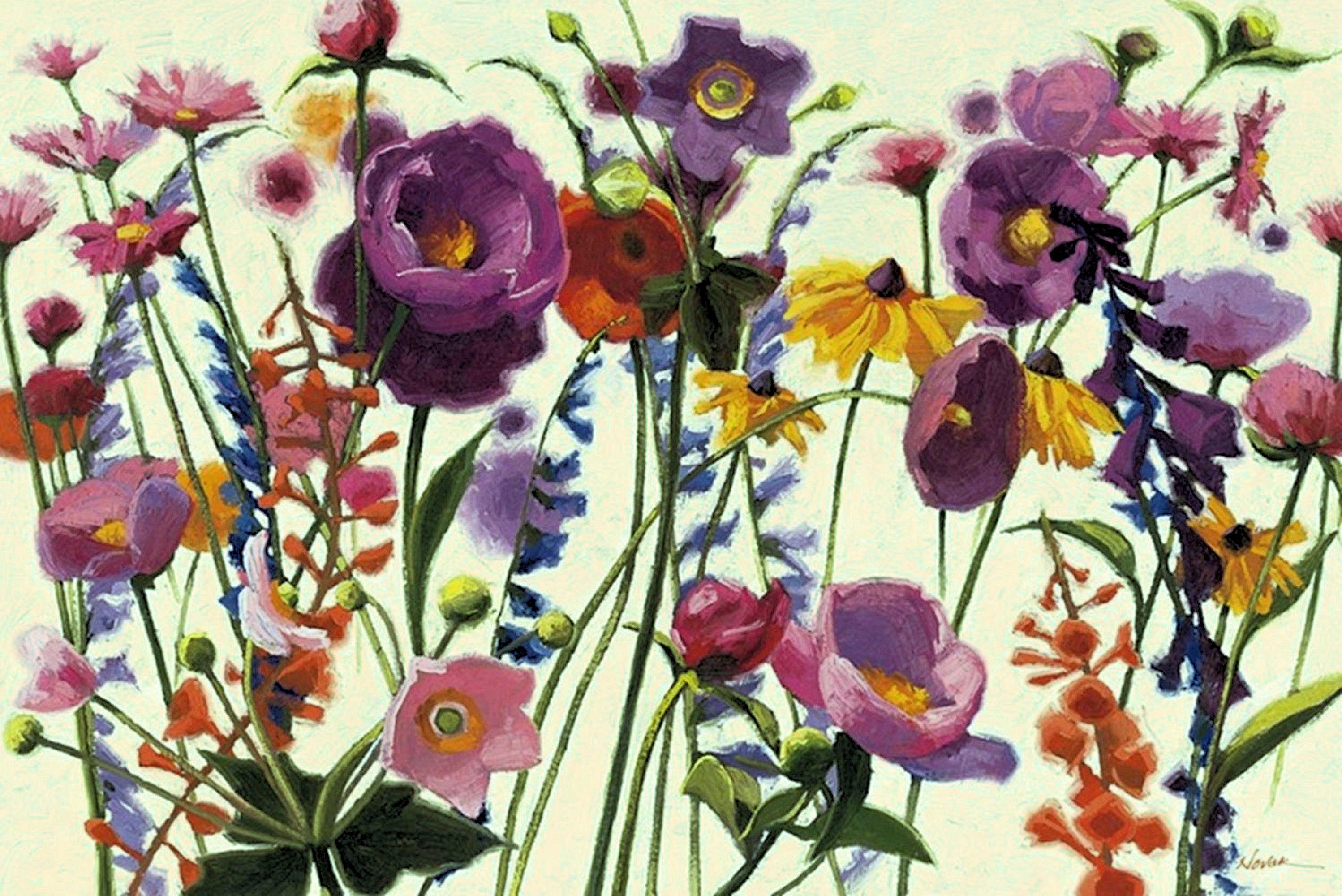 Home affaire Kunstdruck »Blütenpracht«, (1 Stück)-Otto