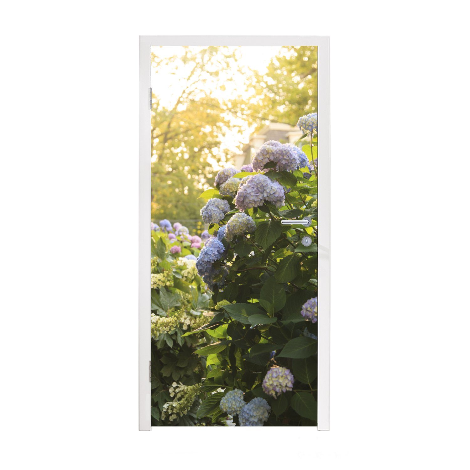 MuchoWow Türtapete Hortensiengarten, Matt, bedruckt, (1 St), Fototapete für Tür, Türaufkleber, 75x205 cm