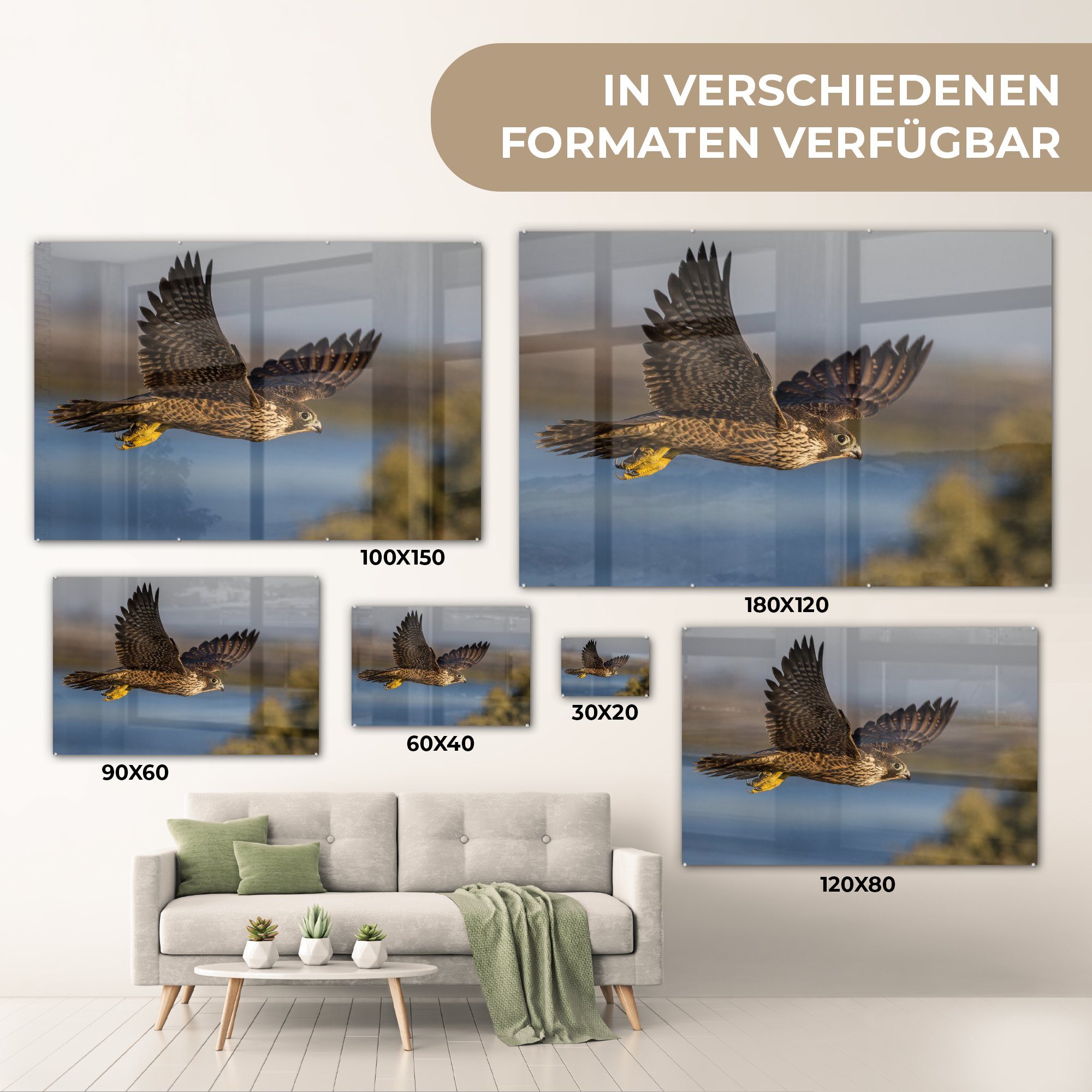 Mehr (1 Acrylglasbild - - St), Wohnzimmer & MuchoWow Falke Fliegen, Acrylglasbilder Schlafzimmer
