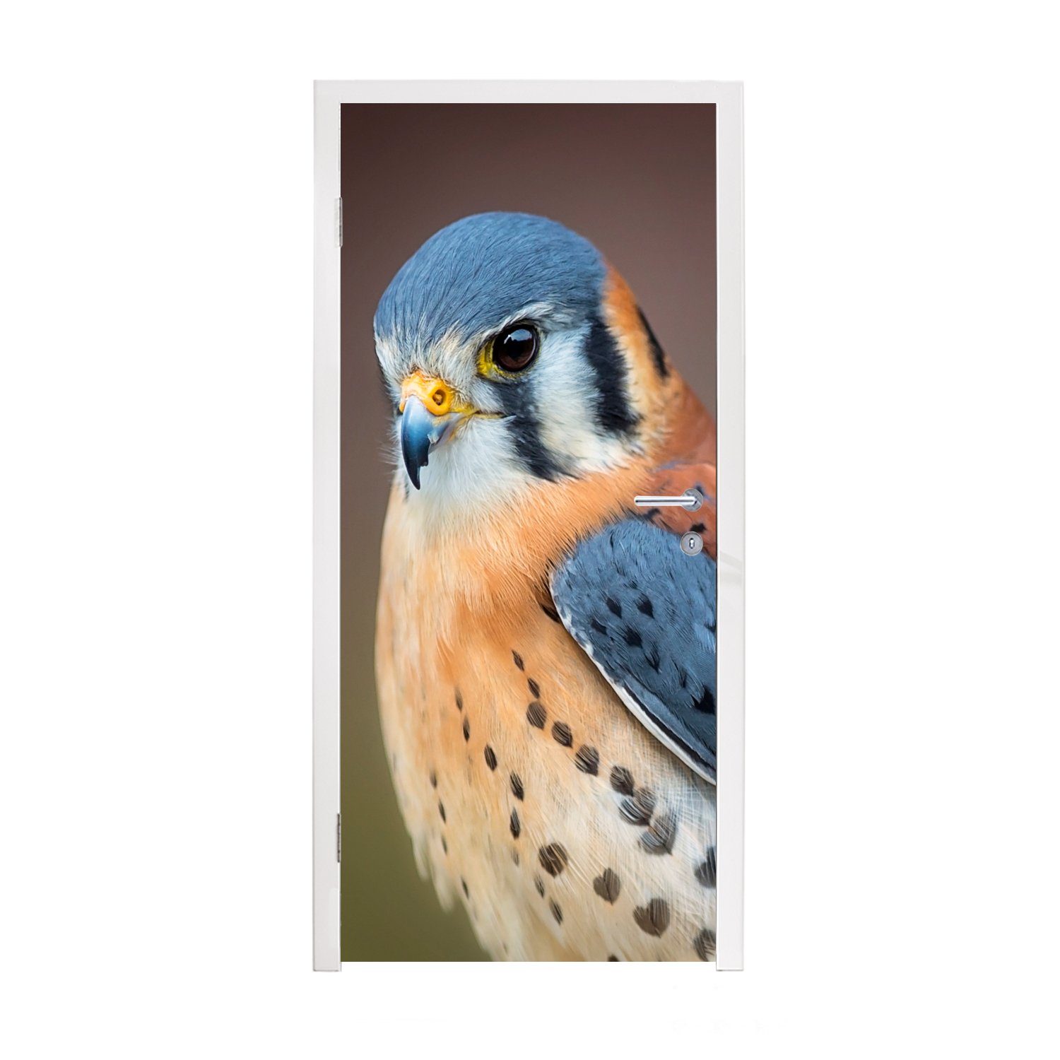 - Makro für bedruckt, - Blau, cm (1 Fototapete Türtapete Vogel 75x205 St), Matt, Tür, MuchoWow Türaufkleber,