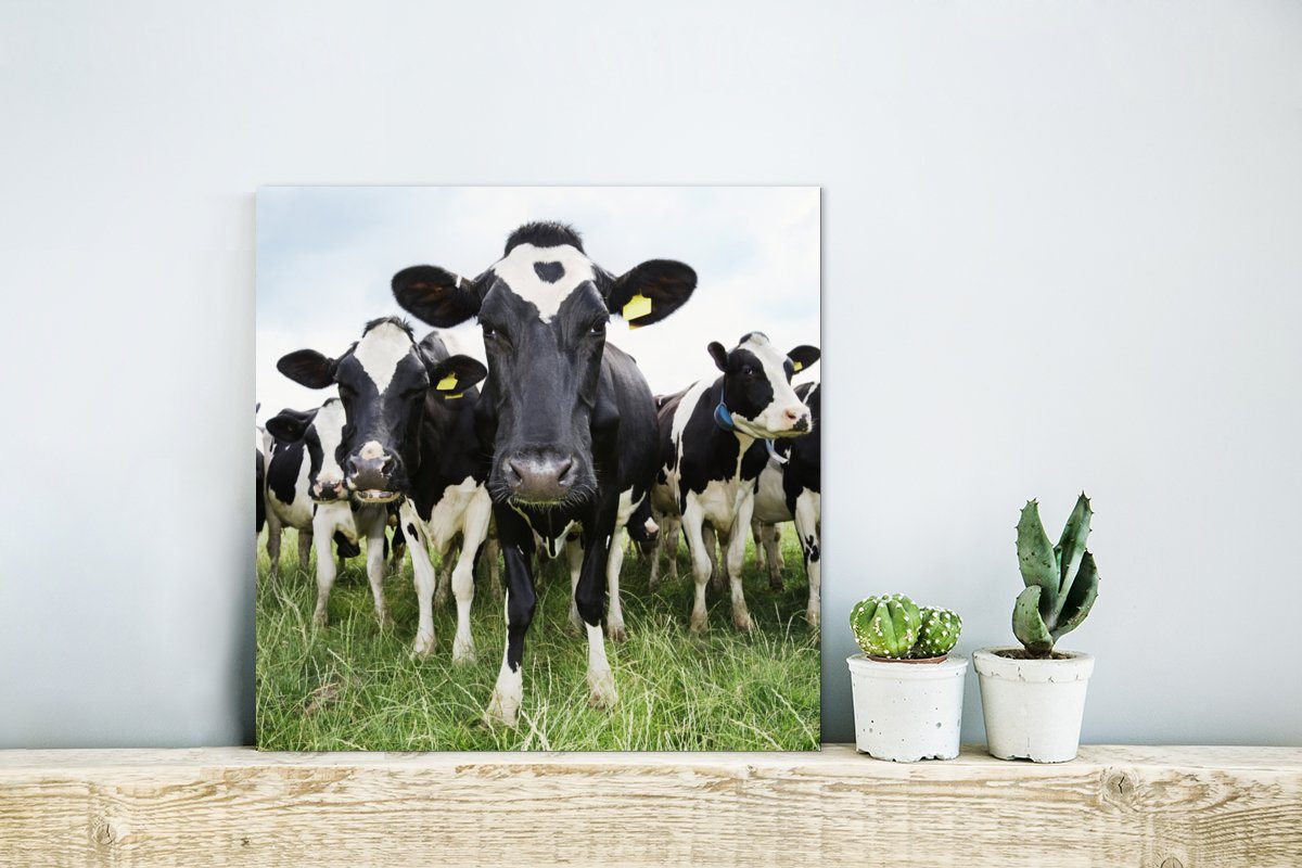 deko - Gras - Alu-Dibond-Druck, Wiese Metall, Metallbild Tiere Kühe (1 MuchoWow St), - Gemälde - Aluminium Bauernhof, aus - Frühling