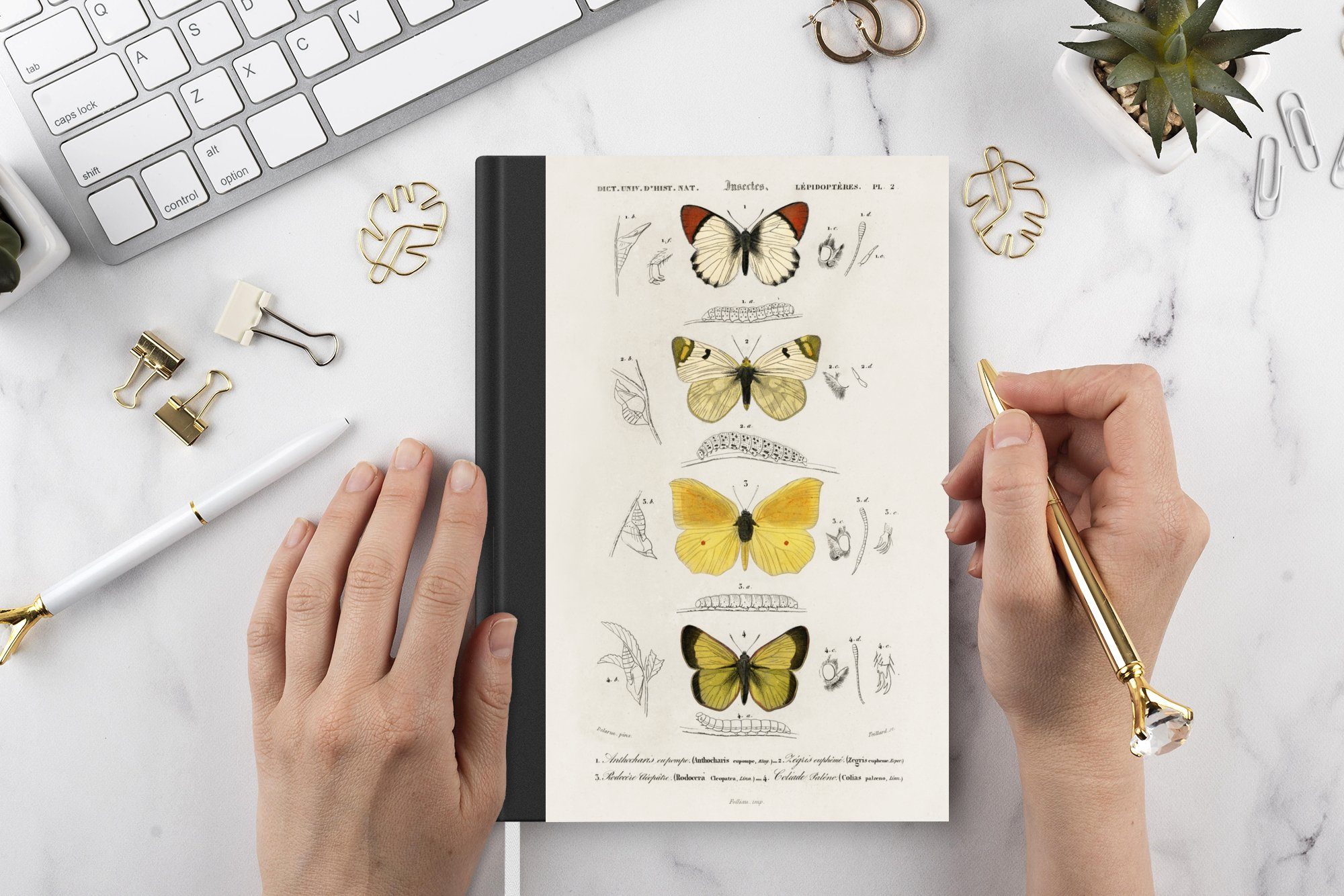 MuchoWow Notizbuch Schmetterling - Vintage Notizheft, Tagebuch, Journal, A5, Merkzettel, Seiten, 98 Haushaltsbuch Insekten, 