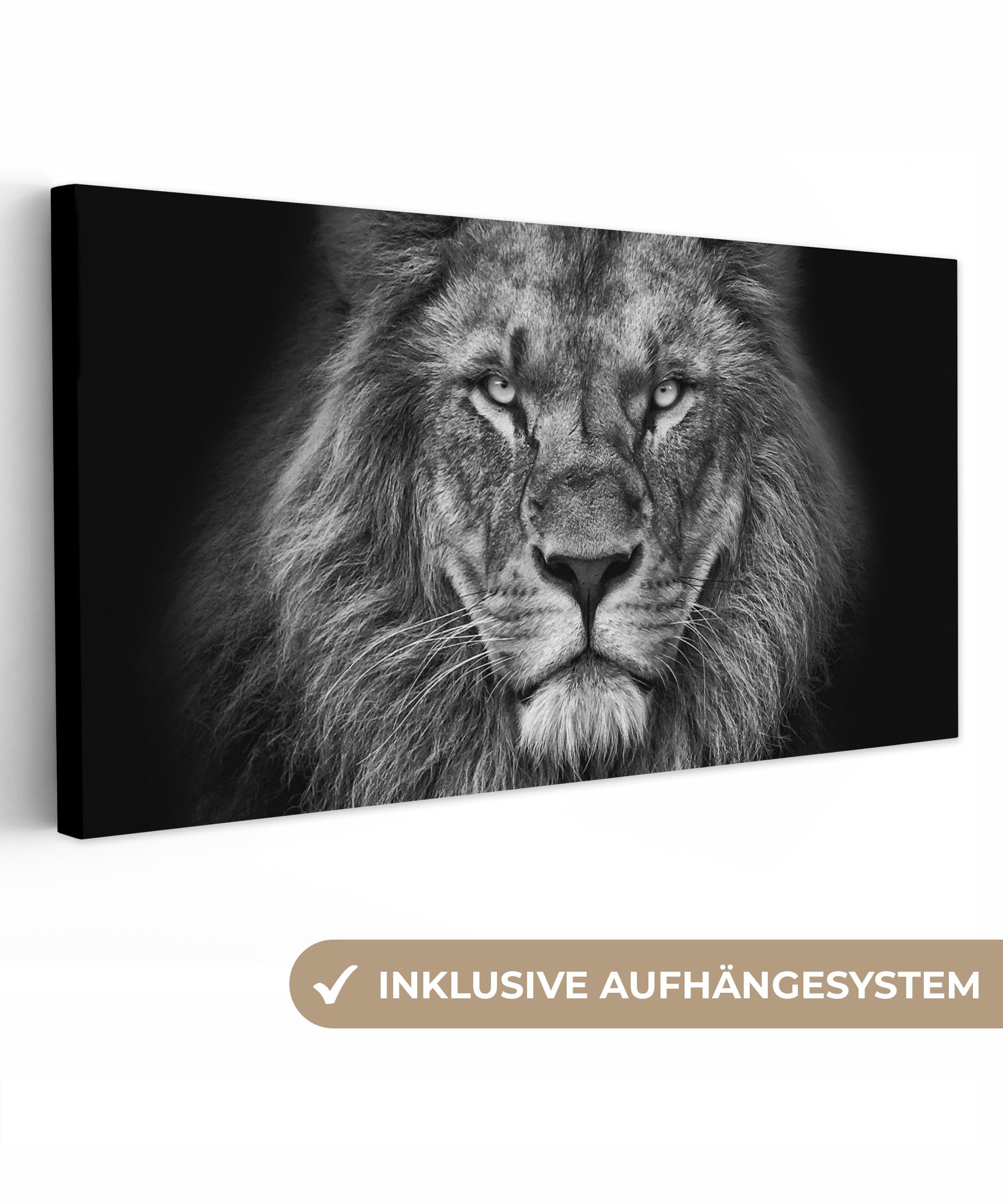 OneMillionCanvasses® Leinwandbild Panorama Tiere - Löwe - Schwarz - Weiß - günstig online kaufen