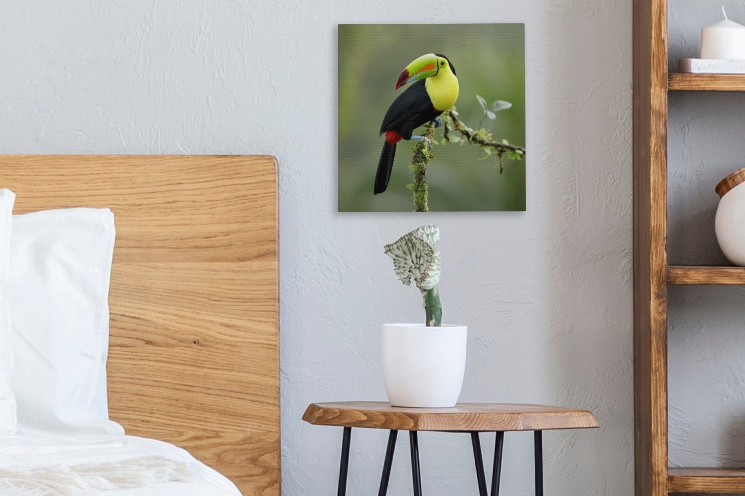 OneMillionCanvasses® Leinwandbild Ein Tukan ruht sich Bilder aus, moosbewachsenen einem Leinwand Ast Wohnzimmer St), auf für (1 Schlafzimmer