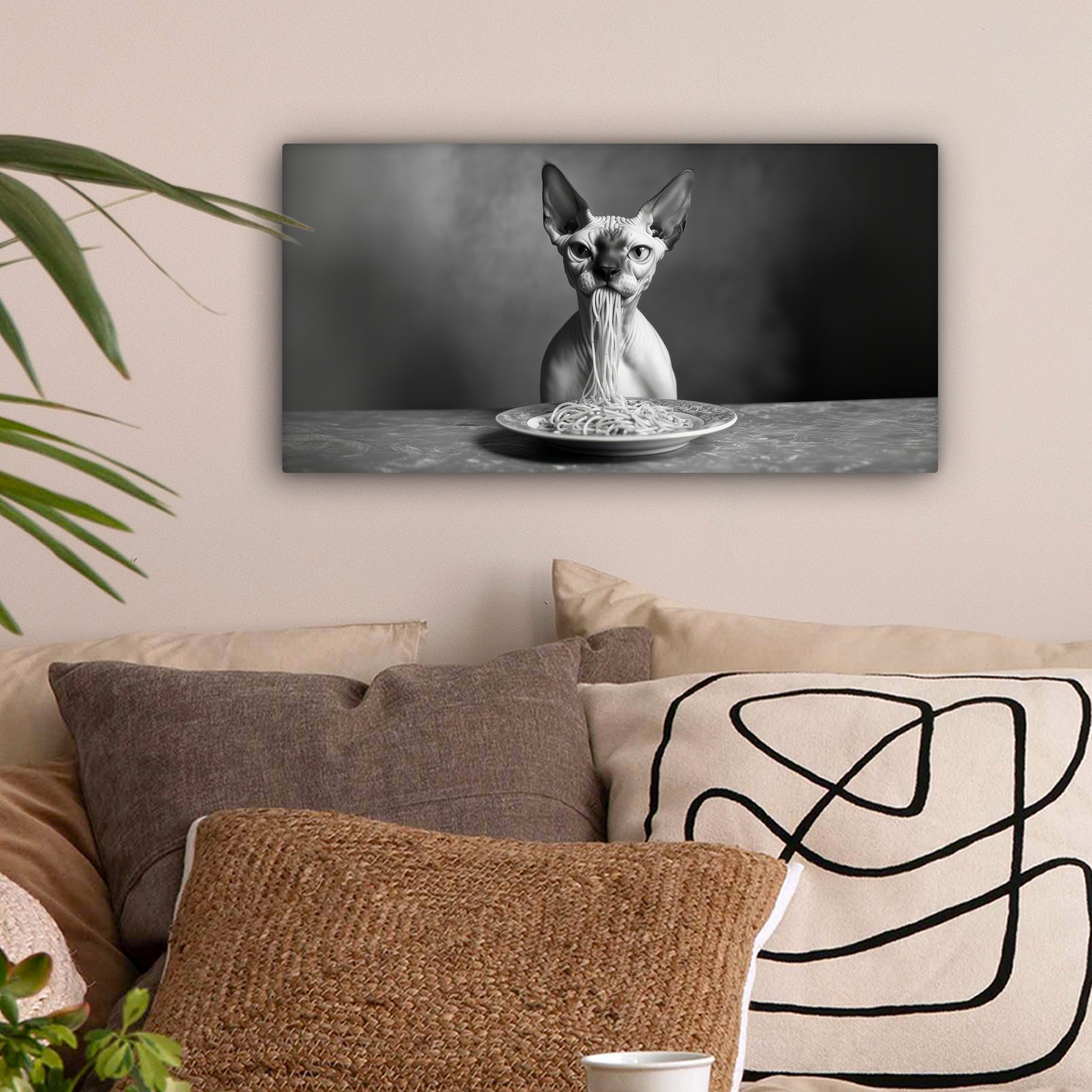 OneMillionCanvasses® Leinwandbild Panorama Sphynx - Katze günstig online kaufen