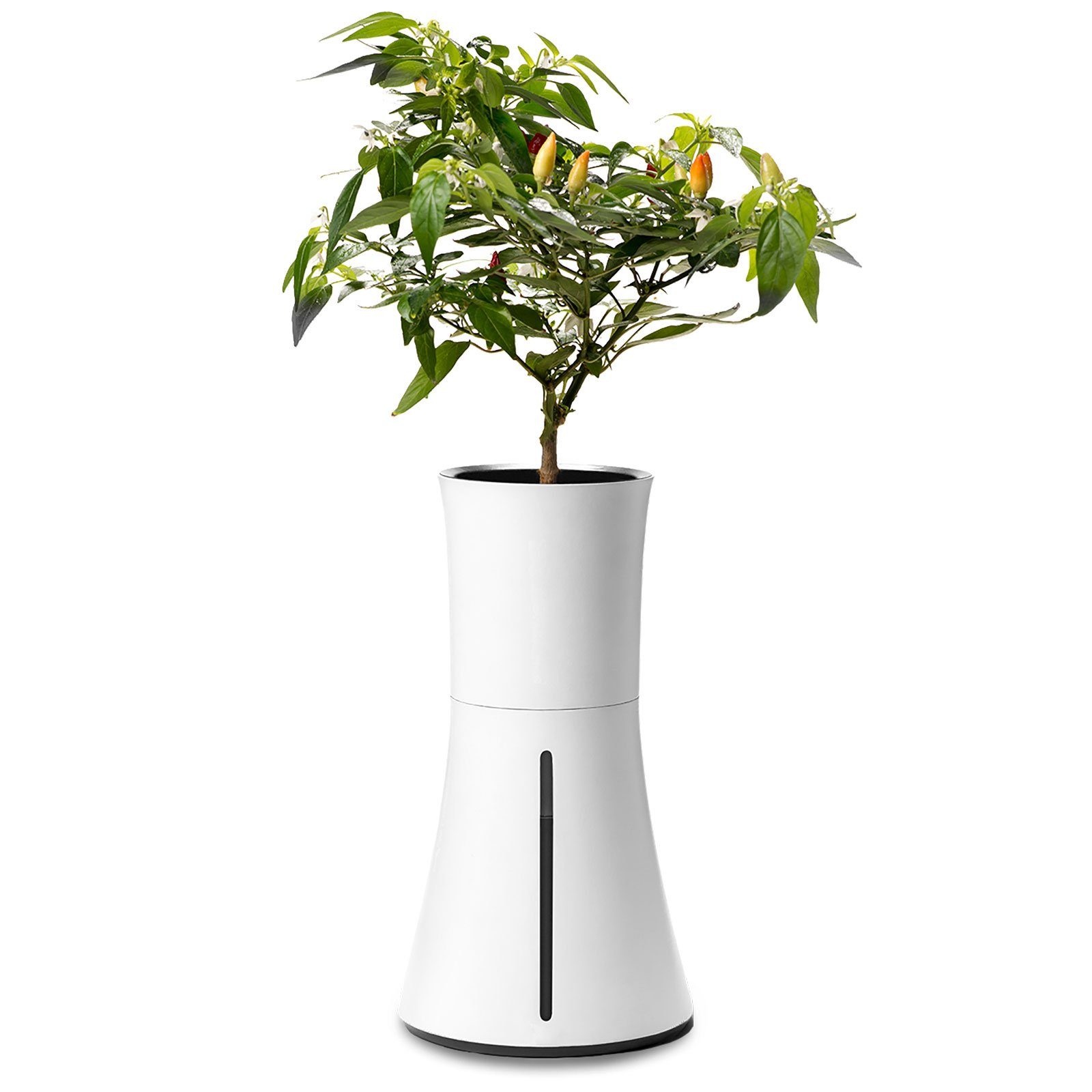 Botanium Blumentopf Botanium - Selbstbewässernder Topf für Kräuter, Gemüse & Zierpflanzen - weiß