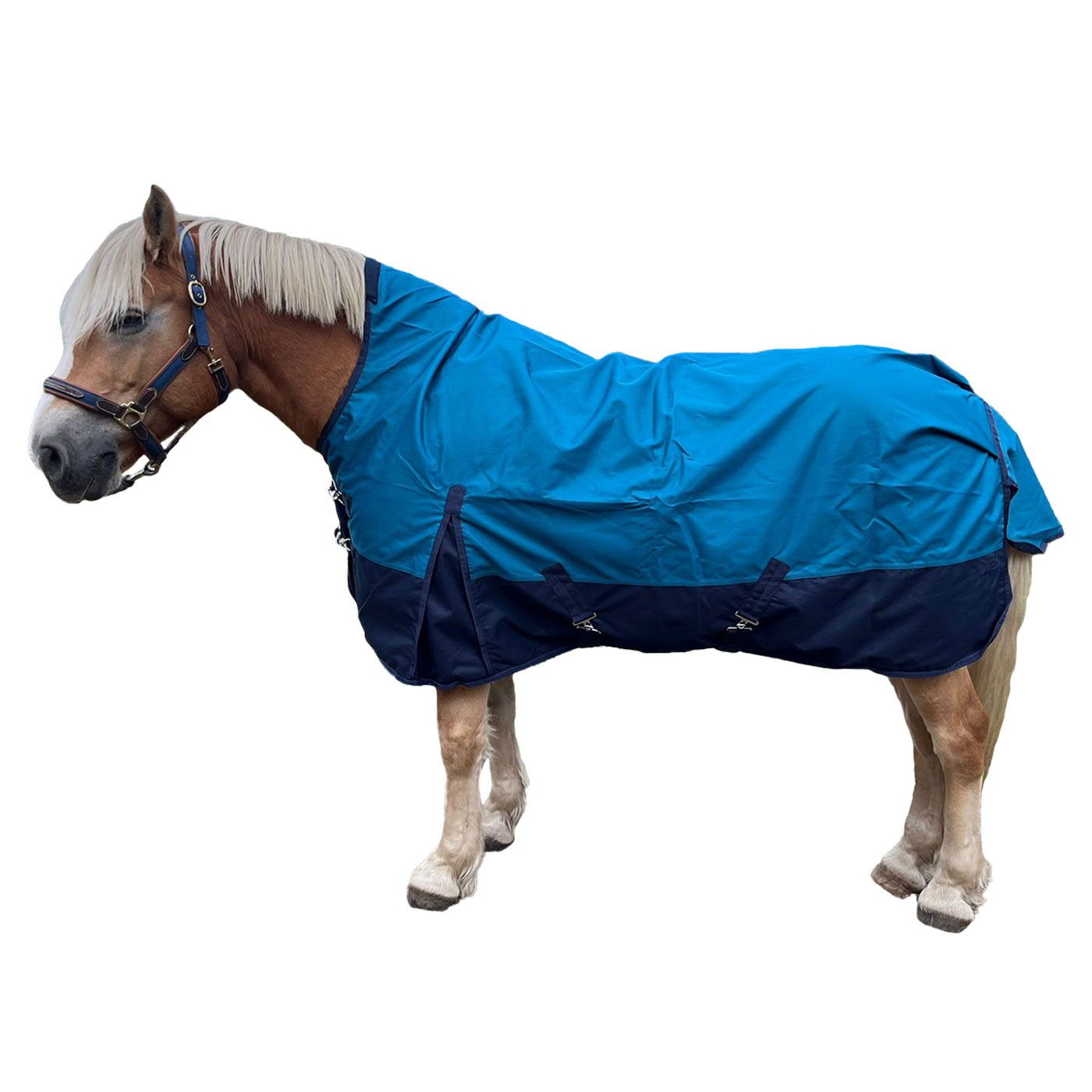 Brama-West Pferde-Regendecke Outdoordecke Zara 1200D mit Highneck, Wasserfest Winddicht