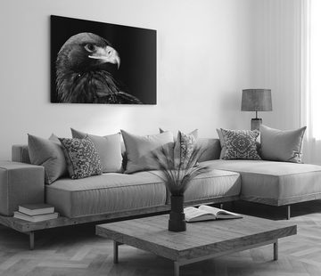 Sinus Art Leinwandbild 120x80cm Wandbild auf Leinwand Schwarz Weiß Tierfotografie Adler Raubv, (1 St)