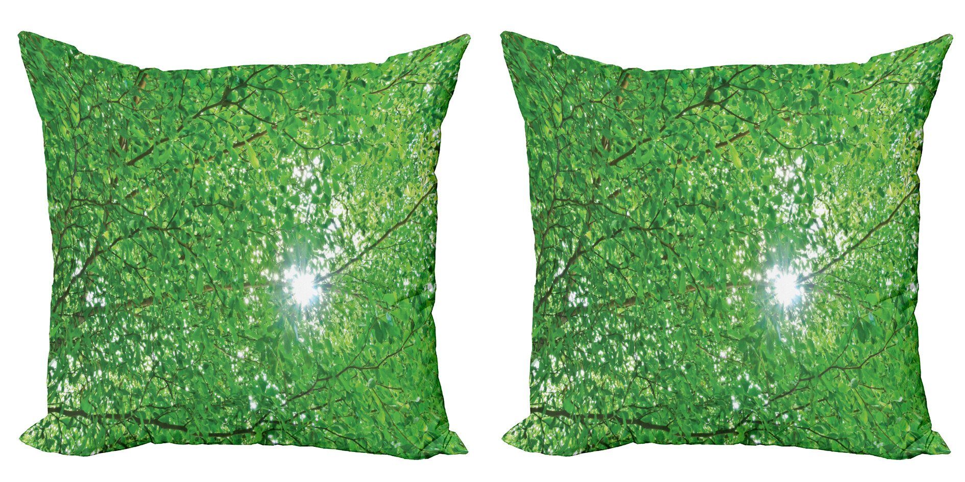 Kissenbezüge Modern Accent Doppelseitiger Digitaldruck, Abakuhaus (2 Stück), Natur Branchen Sonne mit Baum