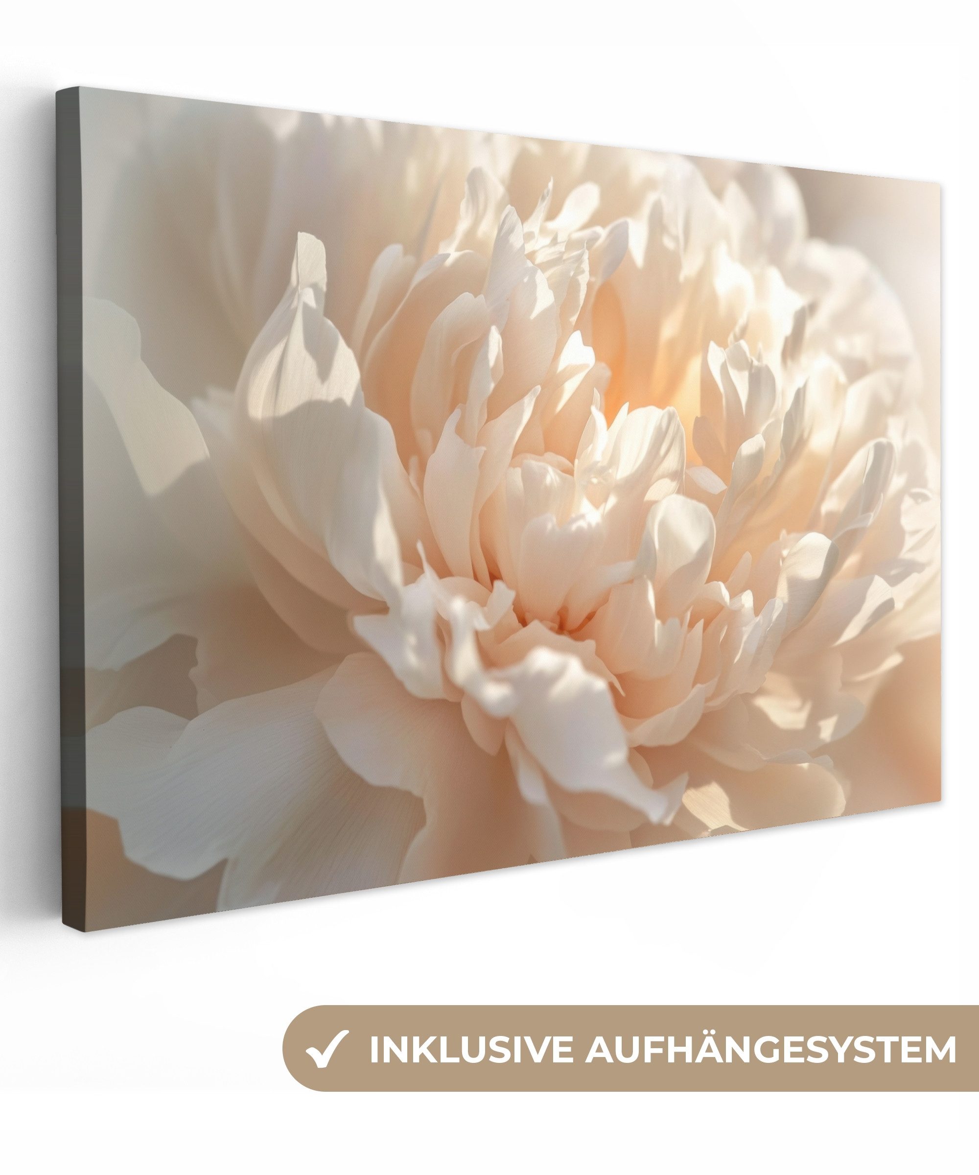 OneMillionCanvasses® Leinwandbild Nahaufnahme - Pfingstrose - günstig online kaufen