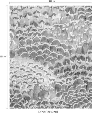 Komar Vliestapete Pale Feathers, (1 St), 200x250 cm (Breite x Höhe), Vliestapete, 100 cm Bahnbreite