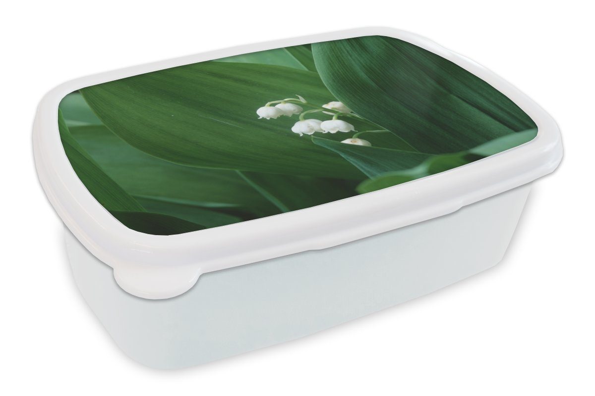 MuchoWow Lunchbox Die dunkelgrünen Blätter um die Lilie von Dalen, Kunststoff, (2-tlg), Brotbox für Kinder und Erwachsene, Brotdose, für Jungs und Mädchen weiß