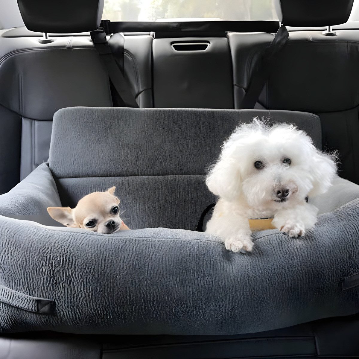 Nobby Hunde-Autositz Reisebett XL Levio grau günstig online kaufen