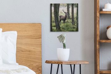 OneMillionCanvasses® Leinwandbild Hirsche - Bäume - Gras, (1 St), Leinwand Bilder für Wohnzimmer Schlafzimmer