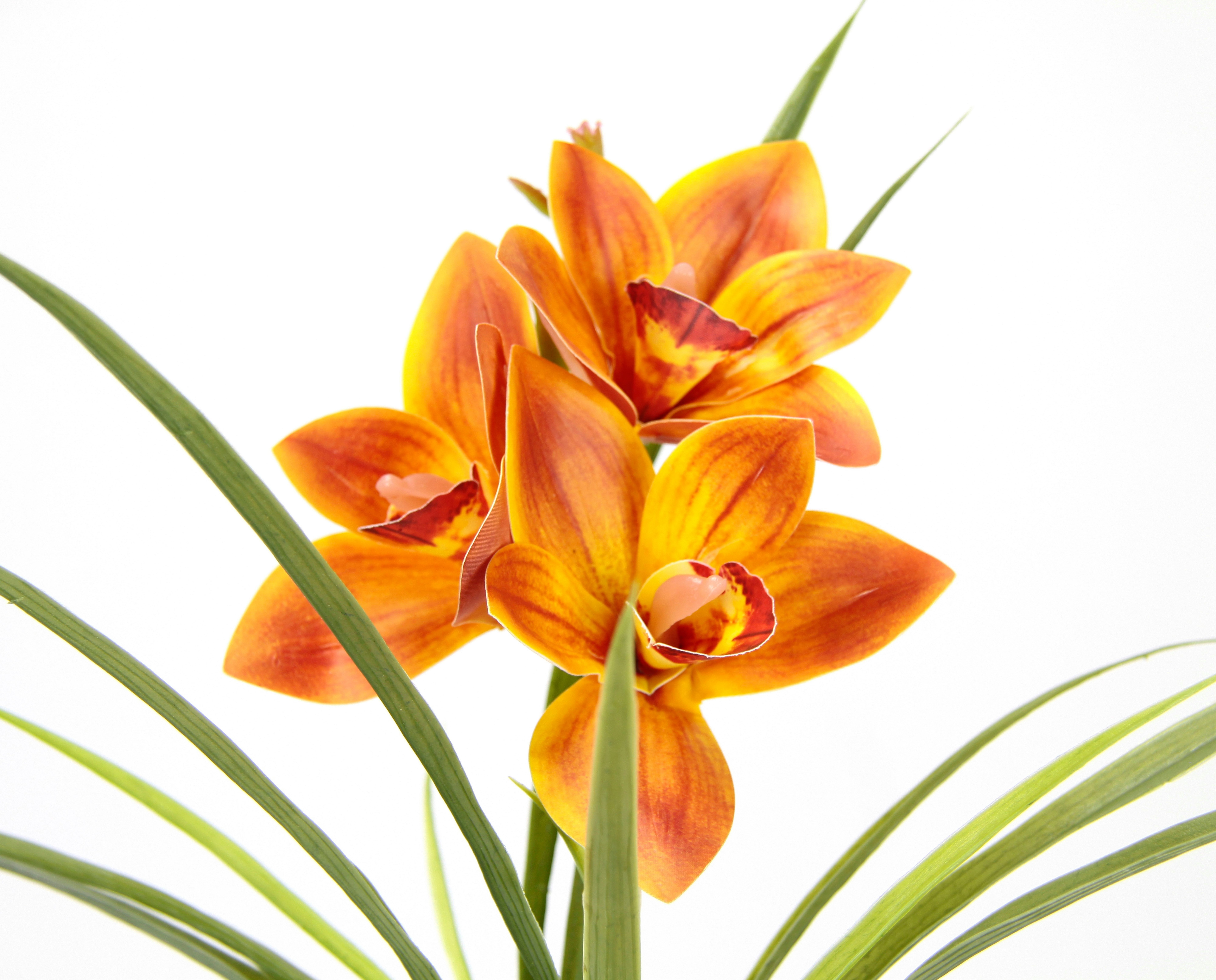 Kunstblume Orchidee, im Orange 32 Topf Keramik aus Cymbidium-Orchidee Mit I.GE.A., Blätter cm, Blume Künstliche Höhe