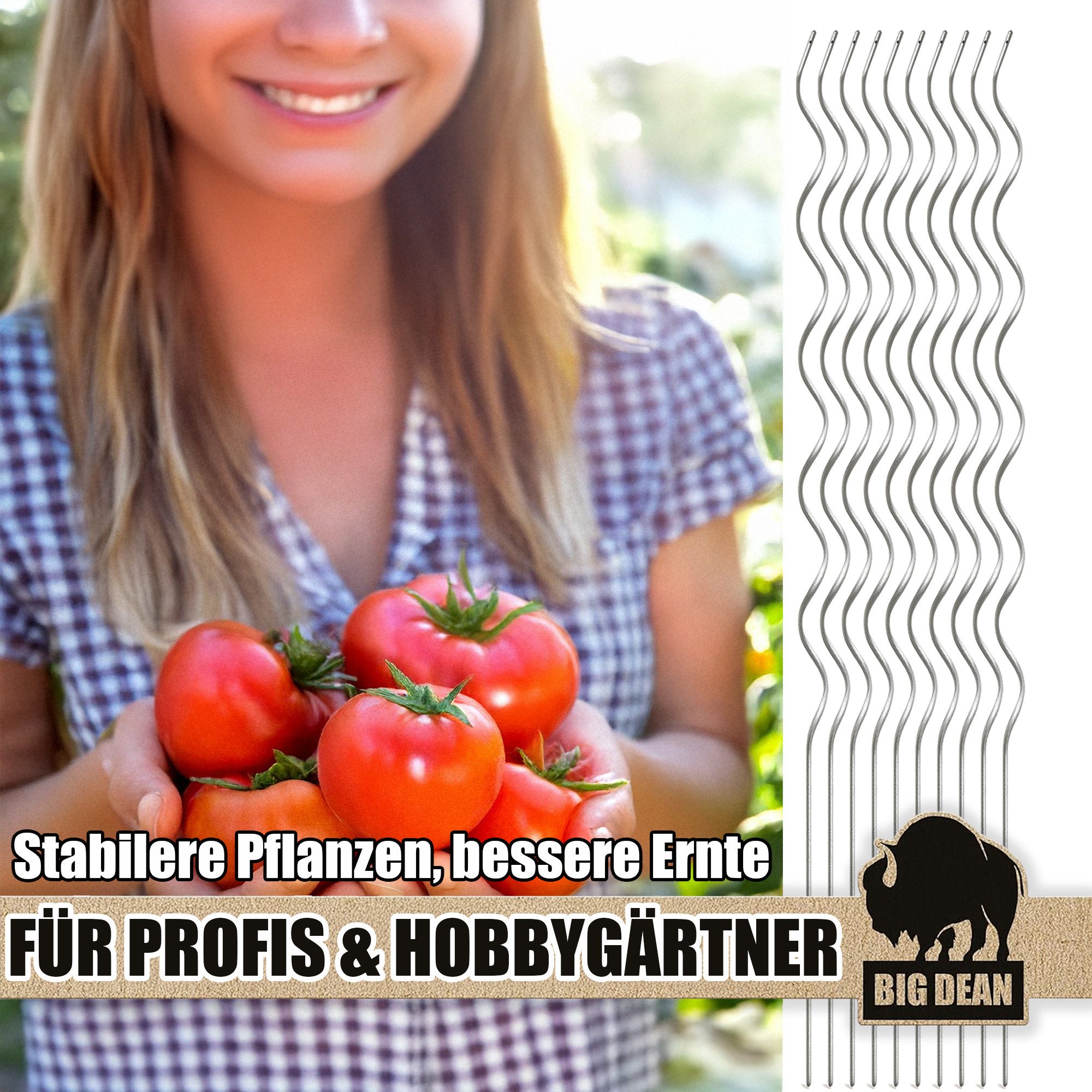 BigDean Rankgitter Tomatenspiralstäbe 110cm verzinkt Rankstab günstig online kaufen