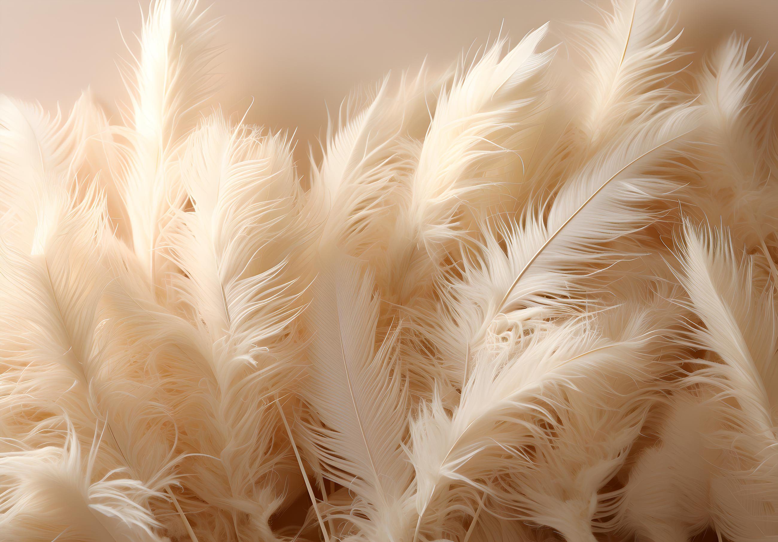 Wallarena Fototapete Federn Boho Vlies Tapete Wohnzimmer Schlafzimmer Wandt günstig online kaufen