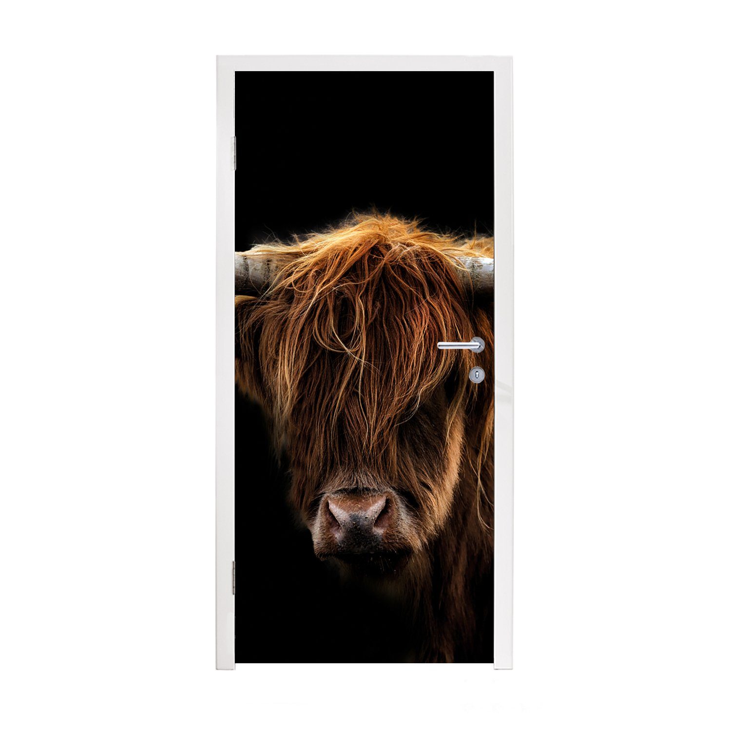 Highlander Fototapete Schwarz Hörner Wild - Natur 75x205 bedruckt, Türaufkleber, cm - für Tiere St), Türtapete -, Matt, Schottischer - - MuchoWow Tür, - (1