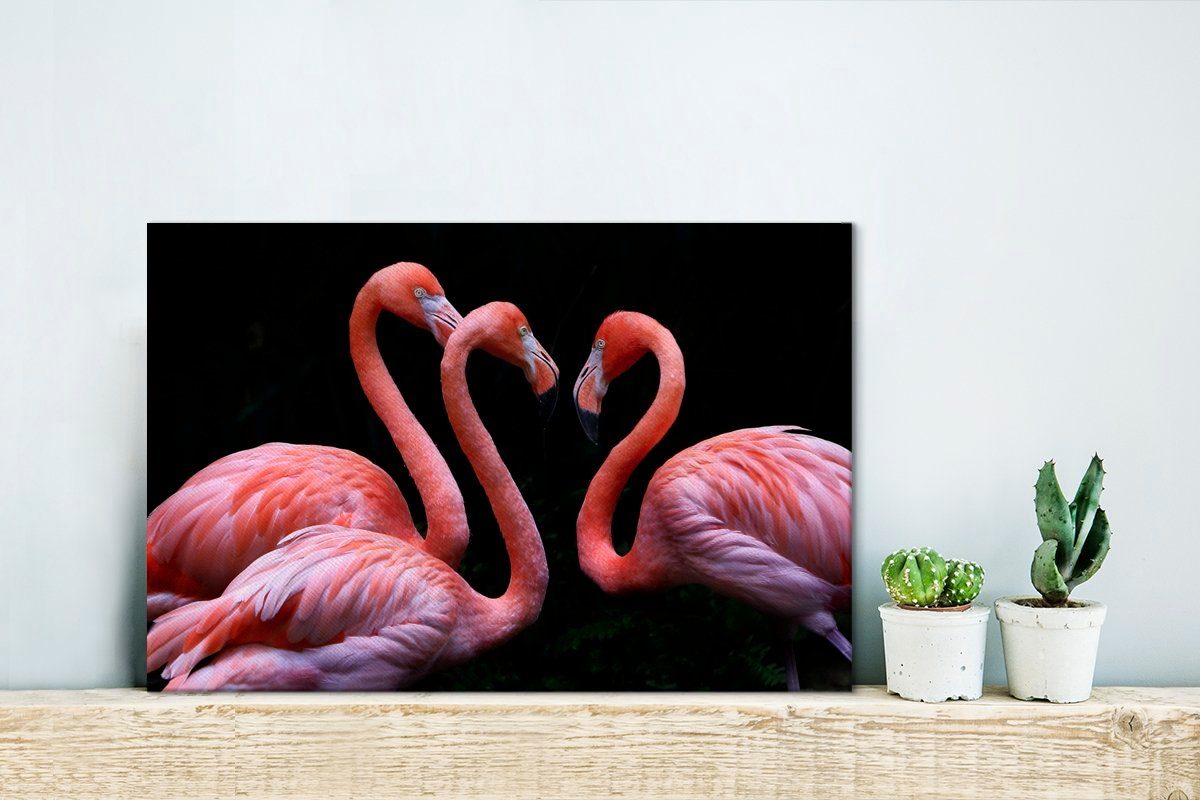 OneMillionCanvasses® Leinwandbild Drei rosa Flamingos auf günstig online kaufen
