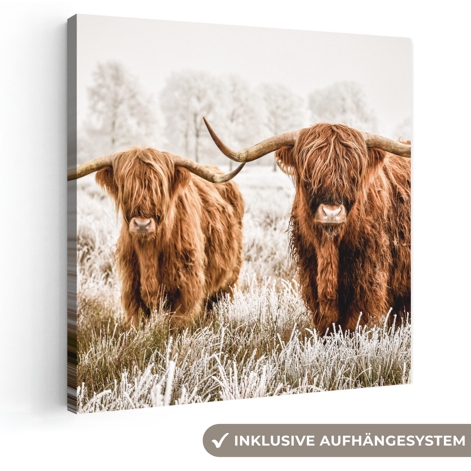 OneMillionCanvasses® Leinwandbild Schottischer Hochländer - Kuh - Natur - Winter, Fotodruck (1 St), Wandbild, Deko Schlafzimmer Wohnzimmer Flur 20x20 cm
