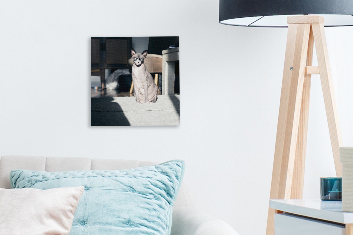 OneMillionCanvasses® Leinwandbild Sonnenstrahlen St), Sphynx-Katze, auf Schlafzimmer Leinwand der Bilder für Wohnzimmer (1