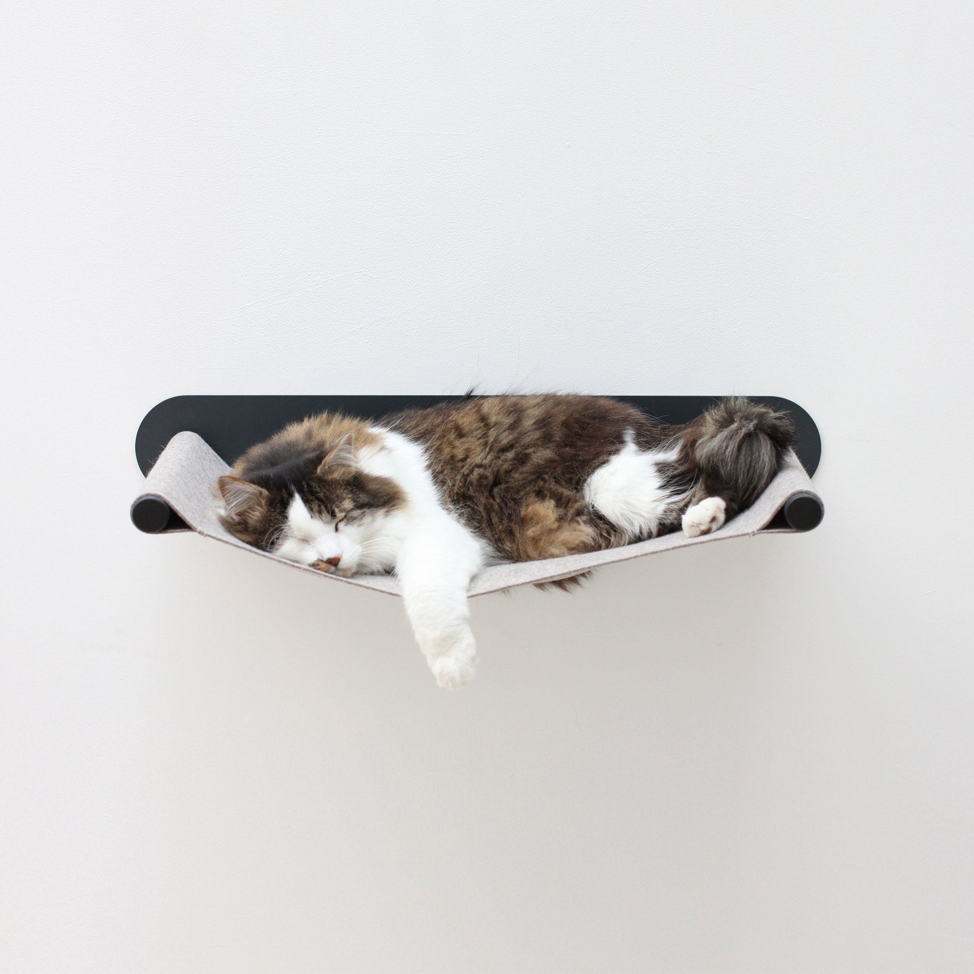 LucyBalu Katzen-Hängematte SWING Katzenhängematte aus Filz günstig online kaufen