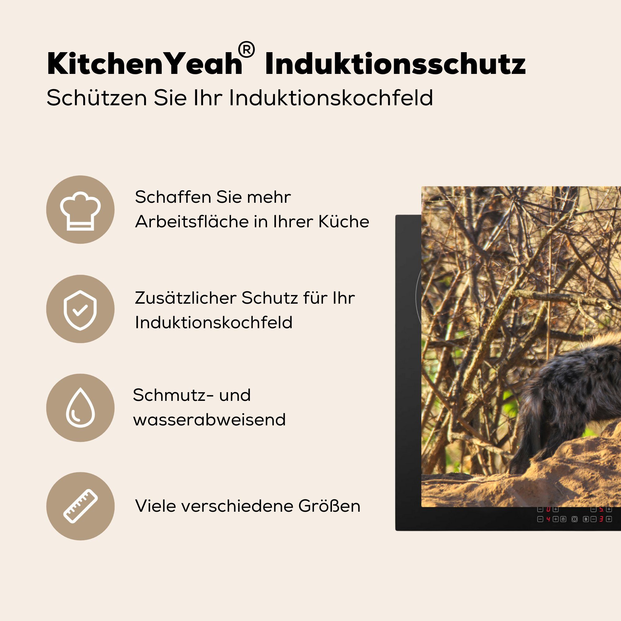 MuchoWow Herdblende-/Abdeckplatte Hyäne - Schutz (1 - Vinyl, Ceranfeldabdeckung 81x52 für die Induktionskochfeld cm, tlg), küche, Steine Safari