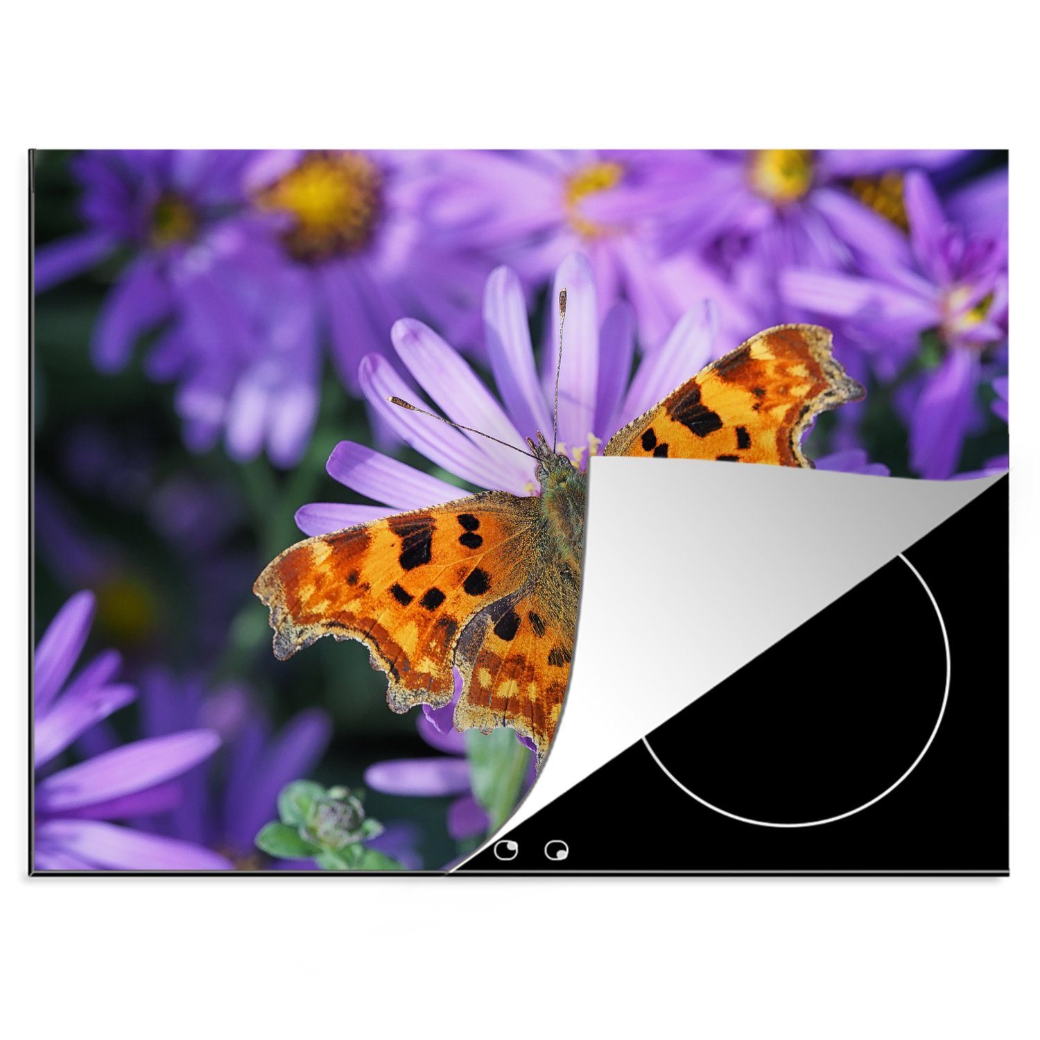 MuchoWow Herdblende-/Abdeckplatte Schmetterlingssittich auf lila Blumen, Vinyl, (1 tlg), 70x52 cm, Mobile Arbeitsfläche nutzbar, Ceranfeldabdeckung