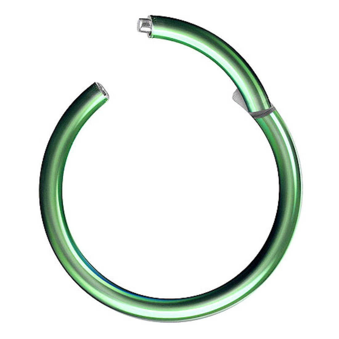 Taffstyle Nasenpiercing Clicker Ohr Universal Piercing Titan G23 oder Chiru günstig online kaufen