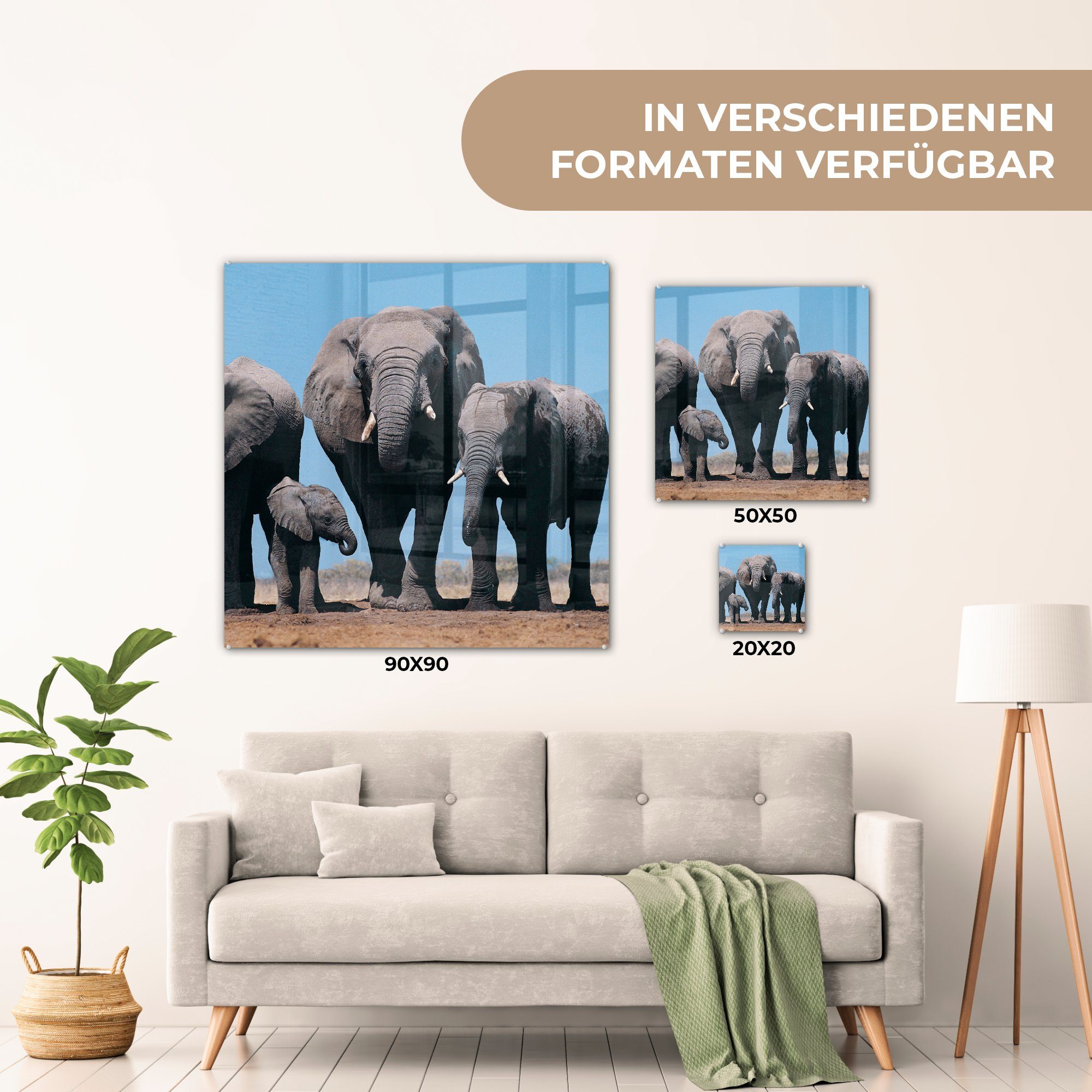 Glas - - (1 - Prärie - MuchoWow Tiere Wandbild - Natur, Glas Glasbilder - Bilder Elefant Foto St), Wanddekoration auf Acrylglasbild auf