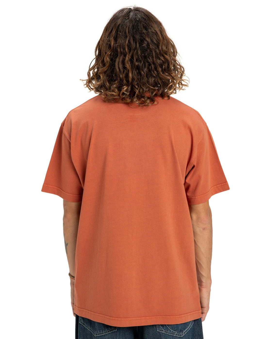 DC Shoes T-Shirt DC Star Pigment Dye