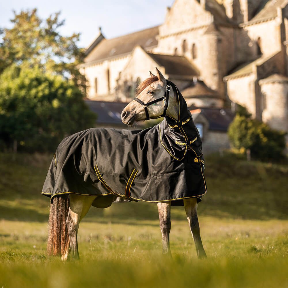 Bucas Pferde-Regendecke Bucas Irish Turnout Light 50g + Neck Set 1200D - black/gold