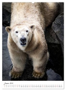 CALVENDO Wandkalender Tierwelten - aus dem ältesten Tiergarten der Welt (Premium, hochwertiger DIN A2 Wandkalender 2023, Kunstdruck in Hochglanz)