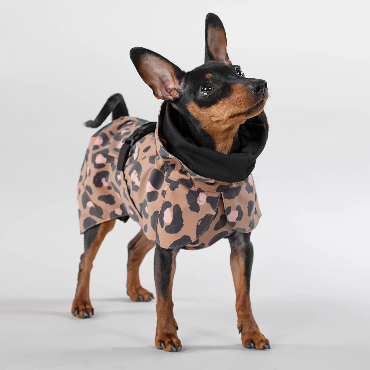 PAIKKA Hunderegenmantel Hunde Regenmantel leicht & reflektierend "Visibility Raincoat Lite l