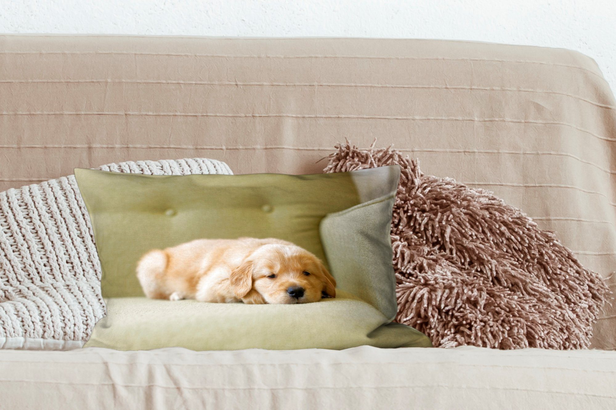 Welpe Zierkissen, Dekokissen auf Sofa, Ein dem mit Retriever Golden Füllung, Schlafzimmer Dekoration, Dekokissen schlafender Wohzimmer MuchoWow