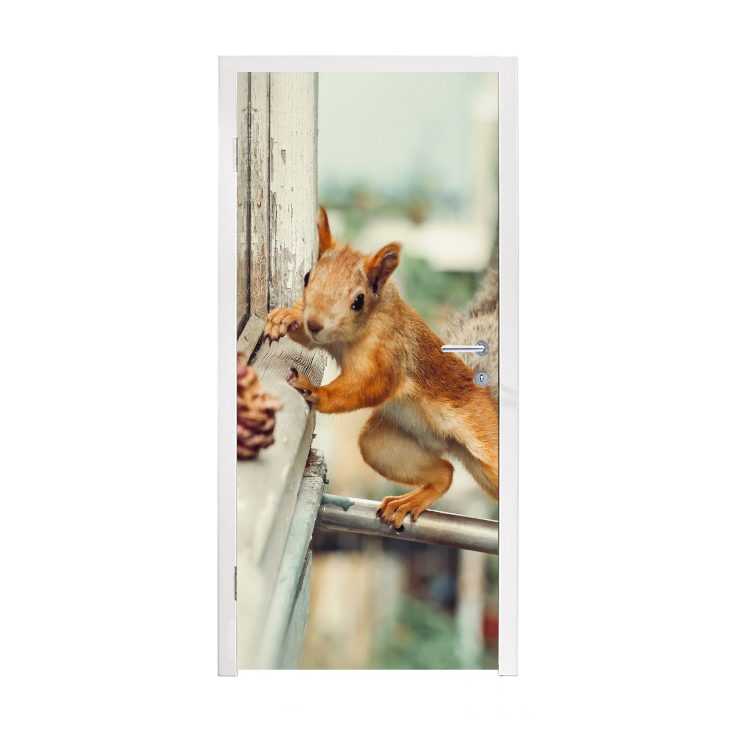 MuchoWow Türtapete Eichhörnchen - Fenster - Herbst - Tannenzapfen, Matt, bedruckt, (1 St), Fototapete für Tür, Türaufkleber, 75x205 cm
