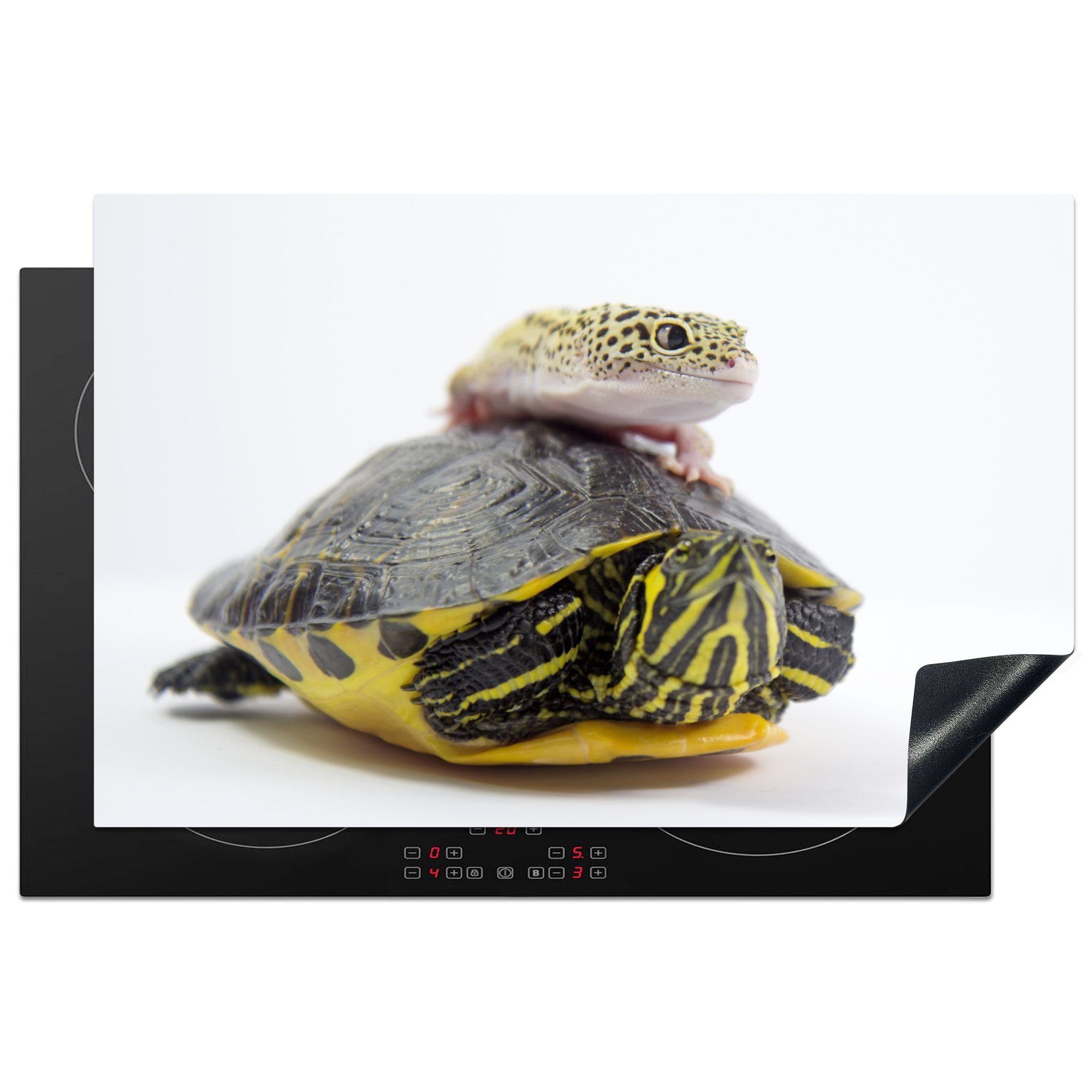 MuchoWow Herdblende-/Abdeckplatte Gecko auf einer Schildkröte, Vinyl, (1 tlg), 81x52 cm, Induktionskochfeld Schutz für die küche, Ceranfeldabdeckung