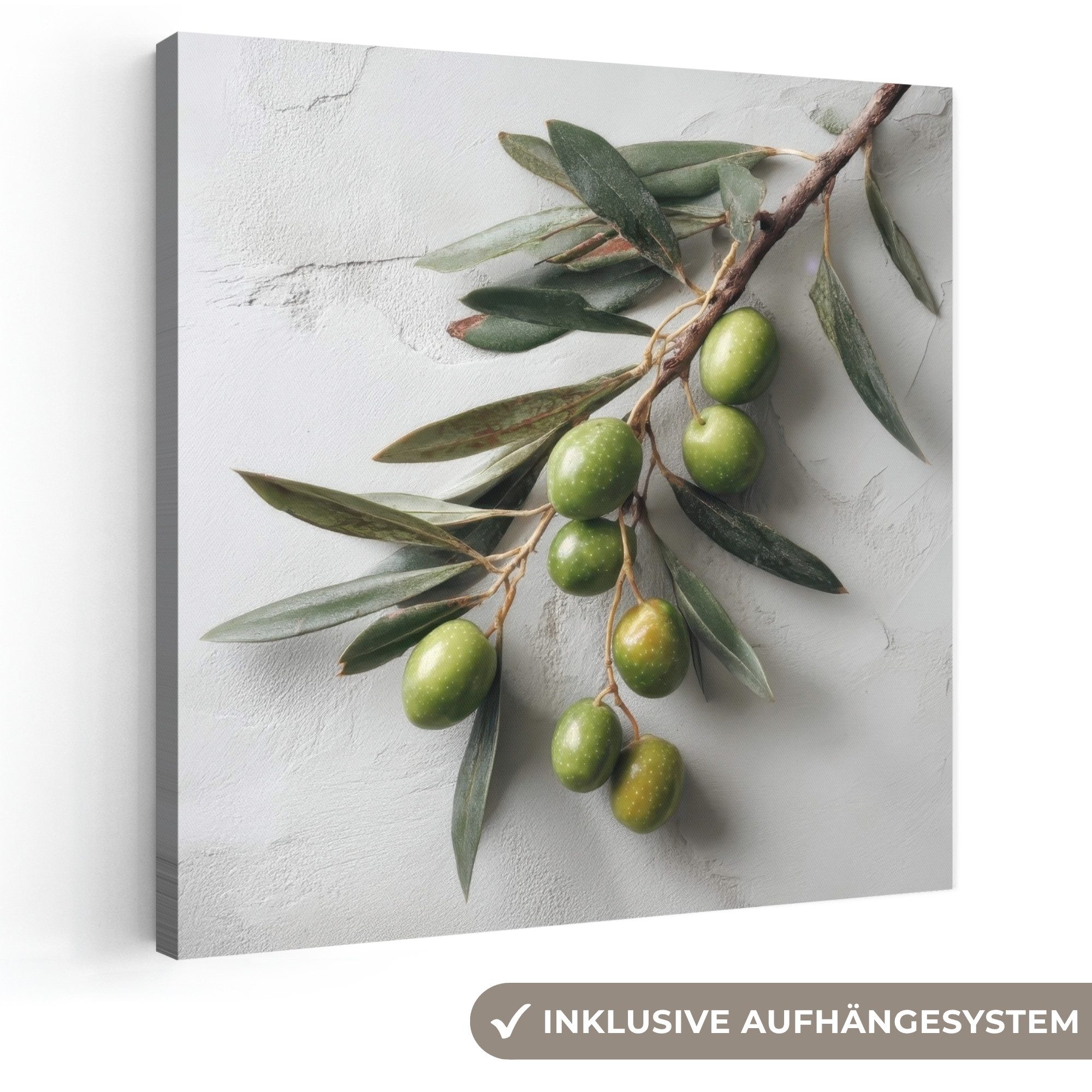 OneMillionCanvasses® Leinwandbild Olivenzweig - Beton - Mediterran, Fotodruck (1 St), Wandbild, Deko Schlafzimmer Wohnzimmer Flur 20x20 cm